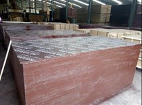 High Qulaity Film Faced Plywood Big Size