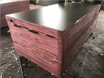 Marine Plywood For UAE DUBAI MARKET