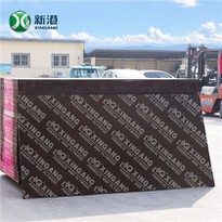 1220*2440 Black Film Marine Plywood