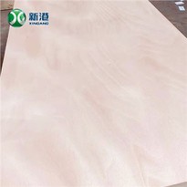 Okoume BB/CC Plywood