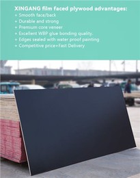 Phenolic Board For Construction 11plies