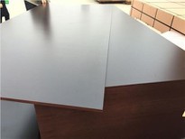 Wholesale Durable Plywood Phenolic Board