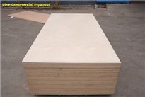 Pine Face Plywood For Furniture