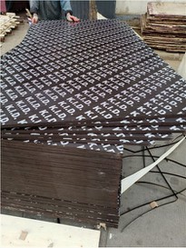 Plywood Factory-Film Faced Plywood