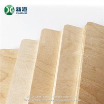 Poplar Core Birch Face/back Plywood