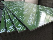 PP Plastic Film Faced Plywood For Construction