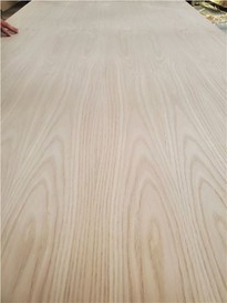Red Oak Fancy Plywood