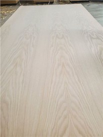 Red Oak Plywood