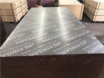 Shuttering Plywood Black /Brown/Red Film Faced Plywood High Quality