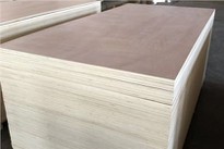 Xingang Brand Pine Birch Pencil Cedar Bintangor Okoume Face/back Commercial Plywood Sheet