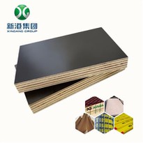 Xingang Phenolic Film Faced Plywood Really Good Quality