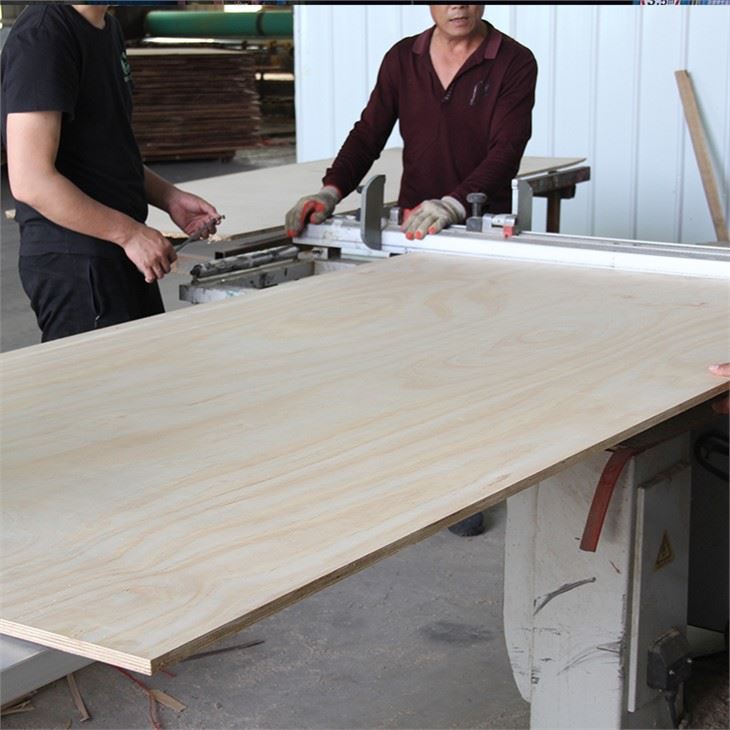 Structural Pine Plywood 1/2in. 3/4in. 5/8in. 23/32 In. X 4 Ft. X 8 Ft. Interior CDX Sheathing Plywood