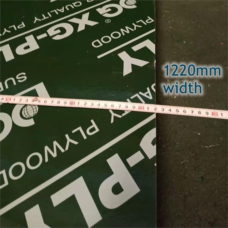 XG Green FFP XG-PLY Poplar Construction Plywood