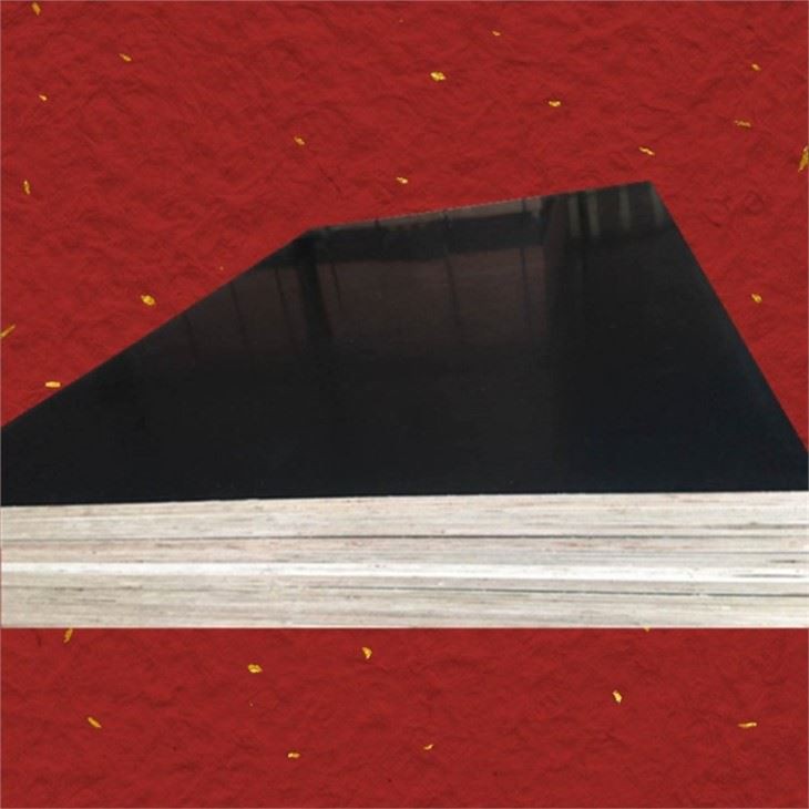 XG Professional Film Faced Plywood Concrete Formwork Panel