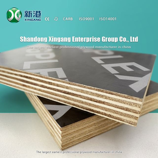 Xingang Best Sale 12mm 15mm 18mm Brown/black Film Faced Plywood Sheet For Construction