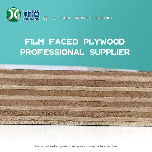 Xingang Best Sale 12mm 15mm 18mm Brown/black Film Faced Plywood Sheet For Construction