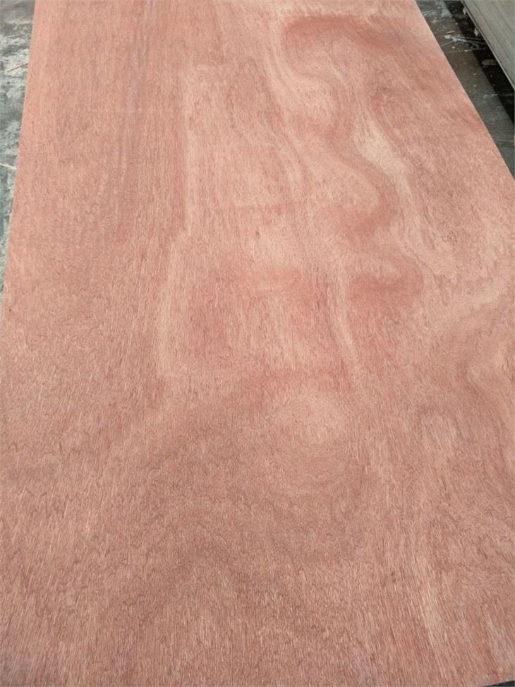 XINGANG BRAND COMMERCIAL PLYWOOD POPLAR CORE