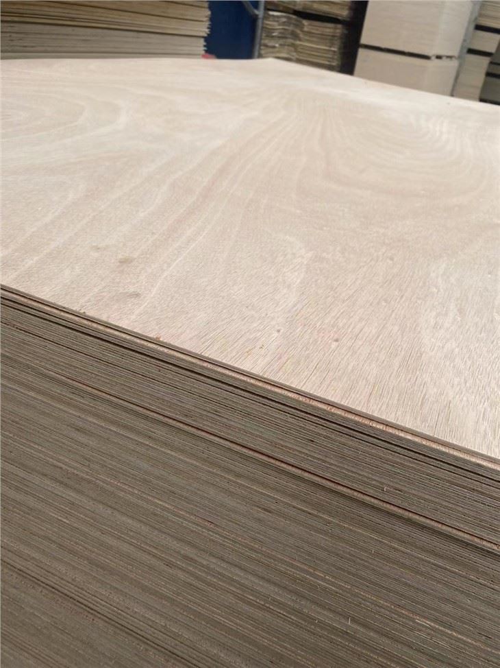 XINGANG COMMERCIAL PLYWOOD POPLAR CORE FUNITURE GRADE