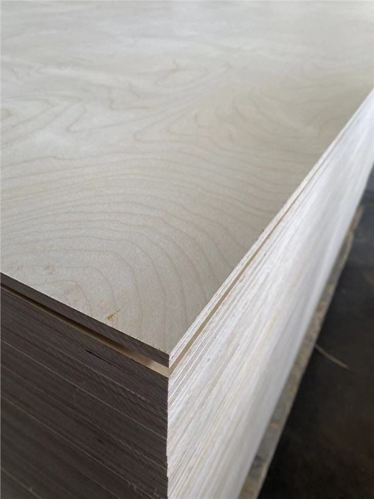 XINGANG COMMERCIAL PLYWOOD POPLAR CORE FUNITURE GRADE