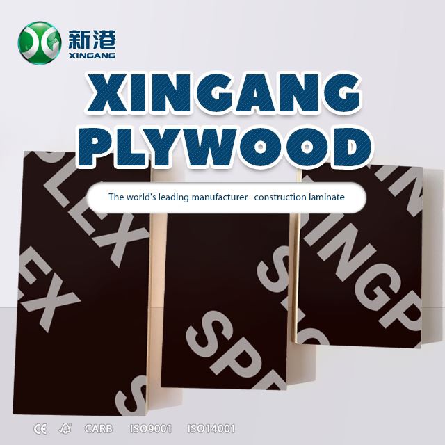 Xingang Film Faced Plywood Birch Plywood For Construction