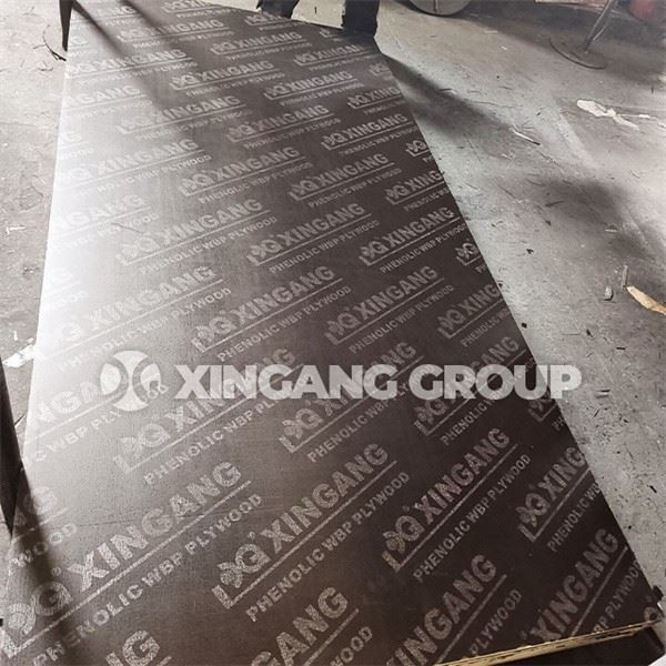 10mm Film Faced Plywood