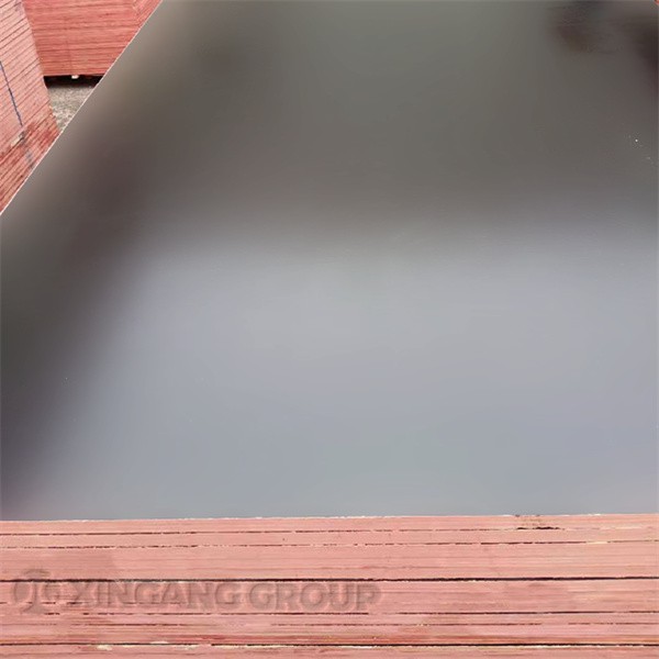 15mm Film Faced Plywood