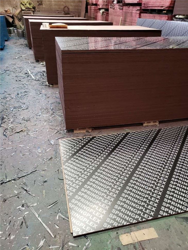 18mm Fresh Poplar Quality Film Faced Plywood Supplier