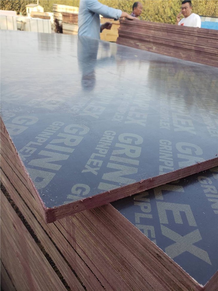 18mm Hardwood Core Film Faced Plywood