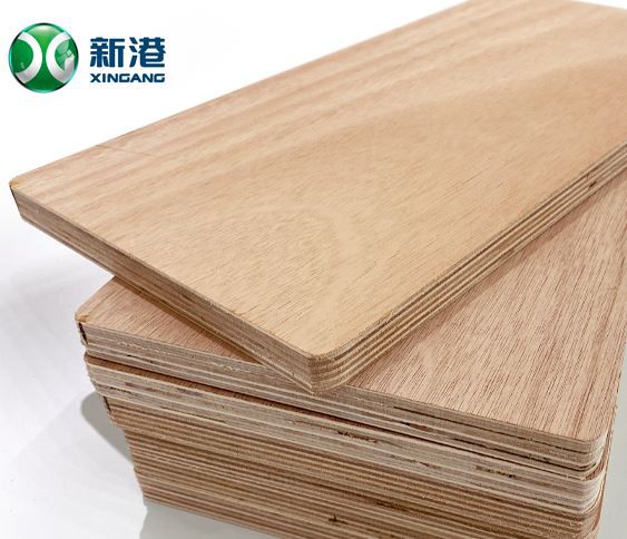 19mm Plywood 8x4