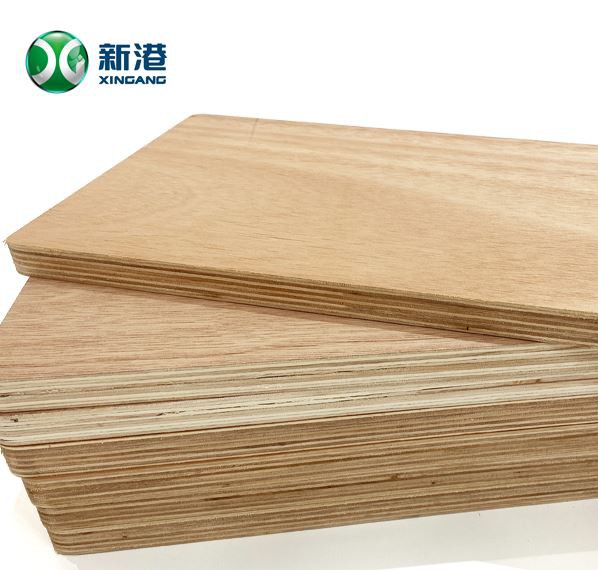 19mm Plywood 8x4