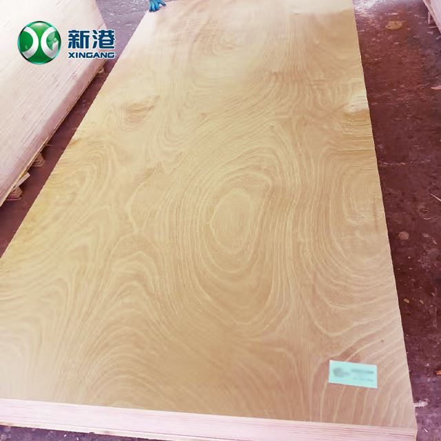 19mm Plywood 8x4