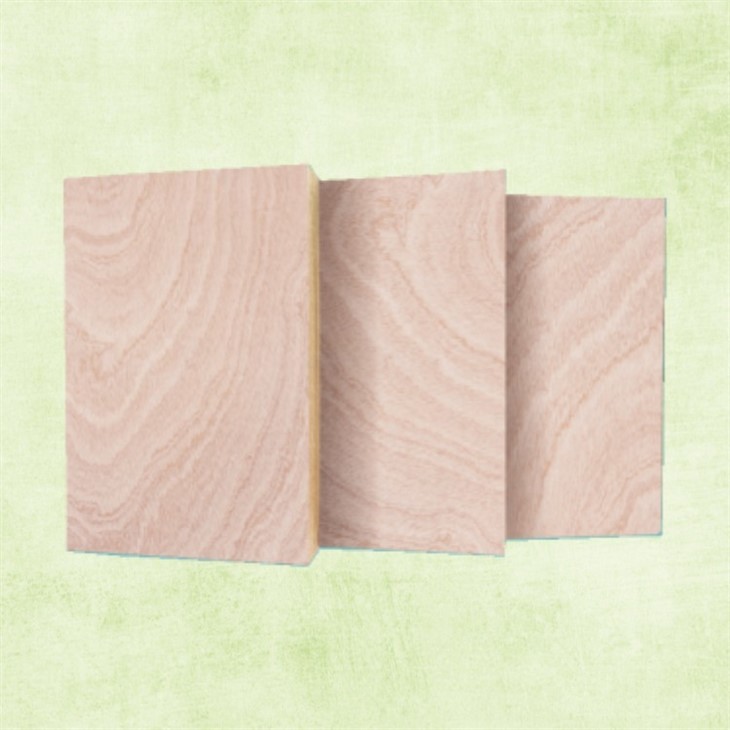 Best Cost Effective Bintangor Face Commercial Plywood Sheet