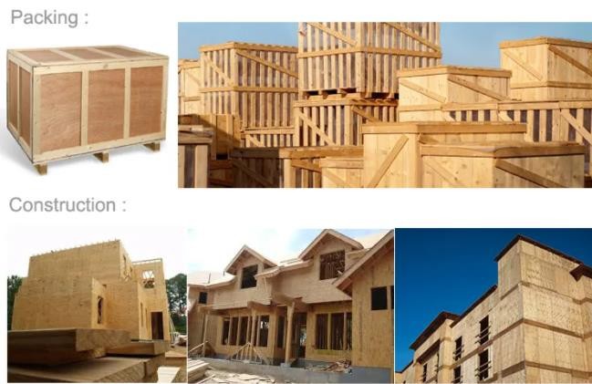 Best Price Packing Grade Plywood3/6/9/12/15/18 mm Commercial Plywood