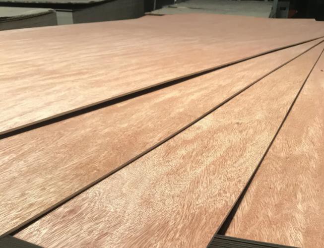 Best Price Packing Grade Plywood3/6/9/12/15/18 mm Commercial Plywood