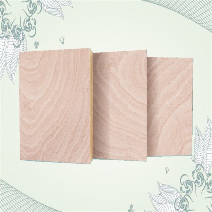Bintangor BBCC Face Back Veneer Commercial Plywood