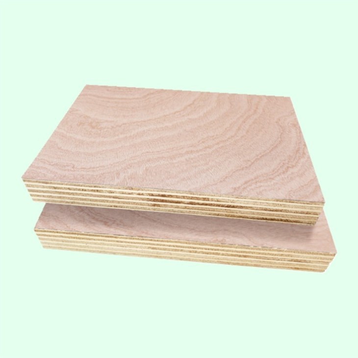 Bintangor BBCC Face Back Veneer Commercial Plywood