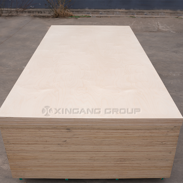 Birch Plywood