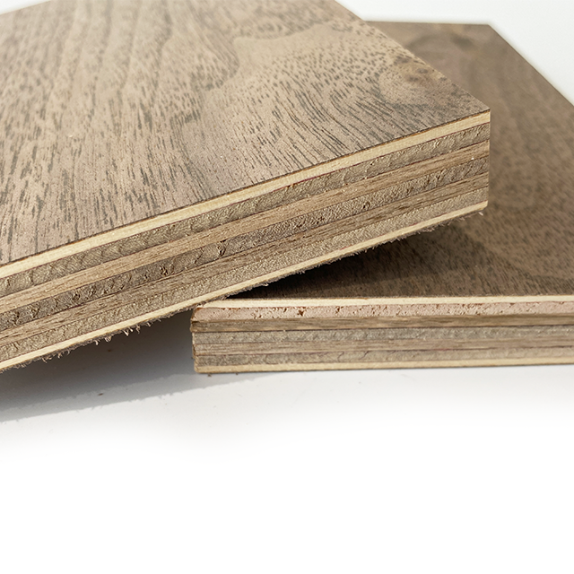 Black Walnut Plywood