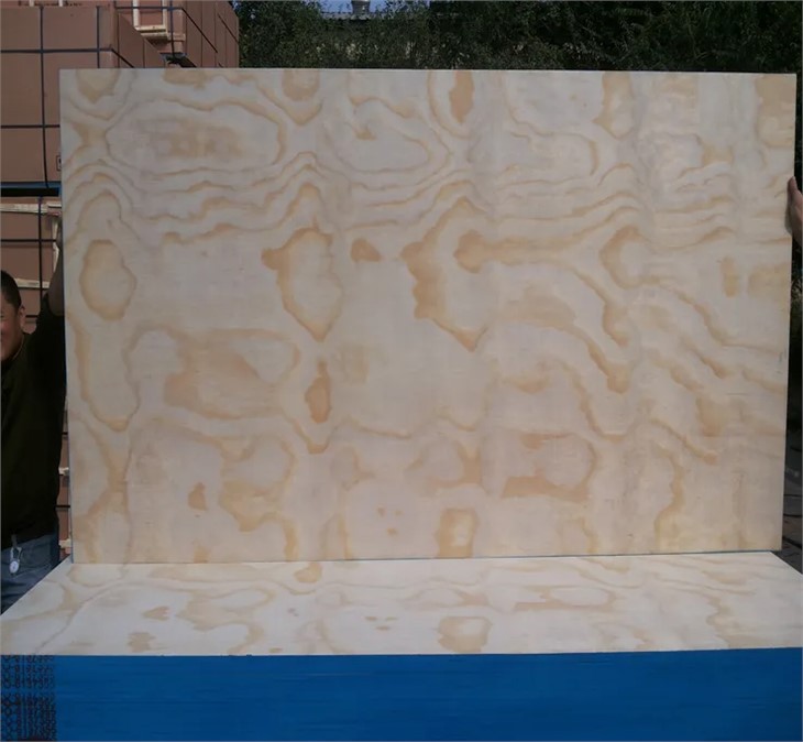 CDX Construction Pine Plywood Building Material 18mm 4x8ft Structure Plywood
