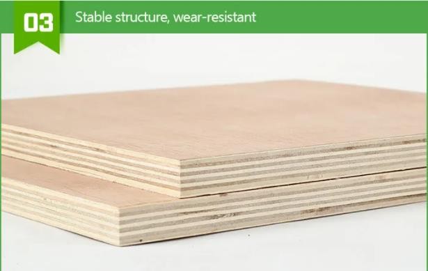 China Bingtangor Plywood Manufacturer Cheaper Pri Ce