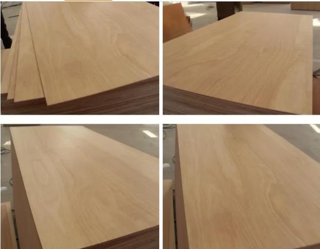 China Bingtangor Plywood Manufacturer Cheaper Pri Ce