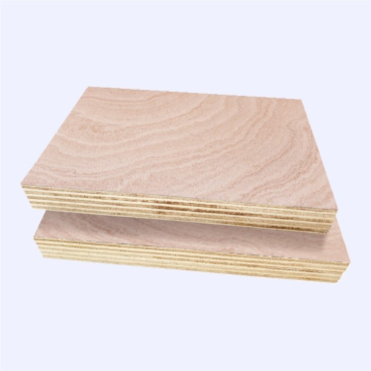 Chinese Natural Wood Poplar Core Commercial Plywood Hot Sale