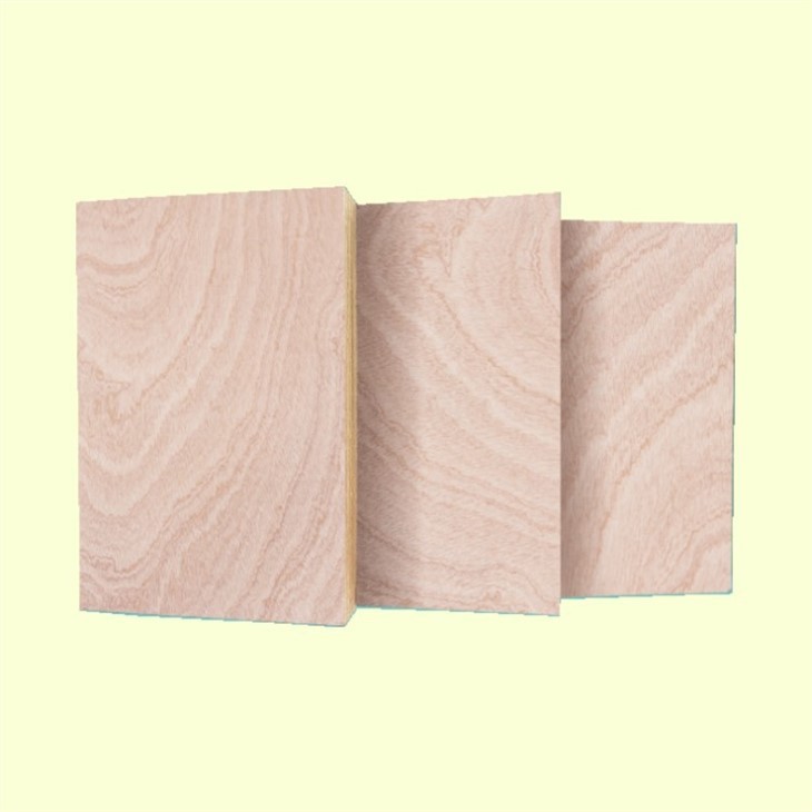 Commercial Plywood Board Natural China Poplar Core High Quality