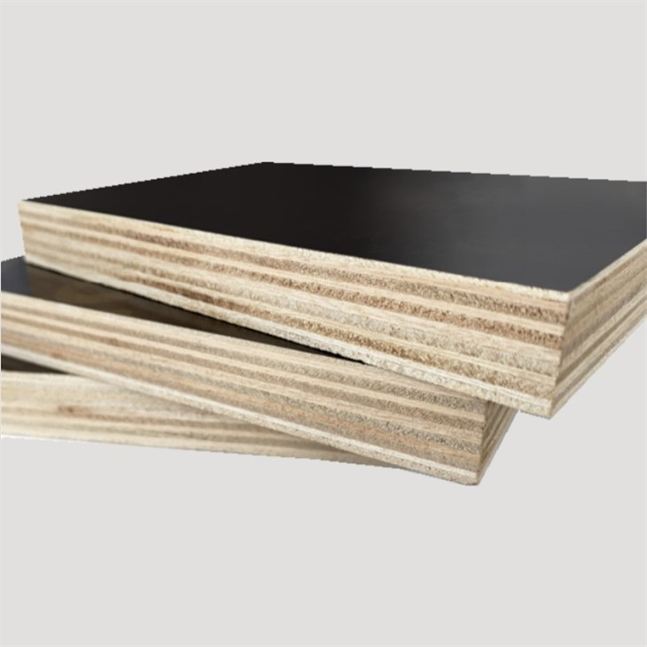 Double Faced Film 1220x2440mm 18mm Black Film Faced Plywood