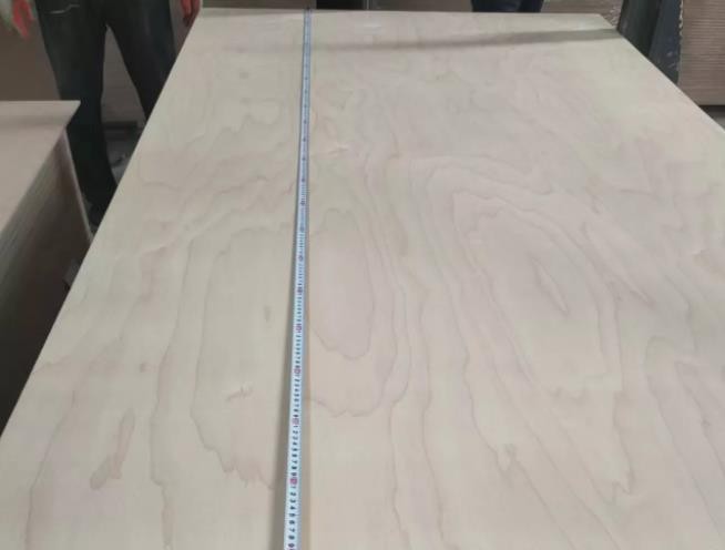Full Russian Birch Plywood BB Grade Factory