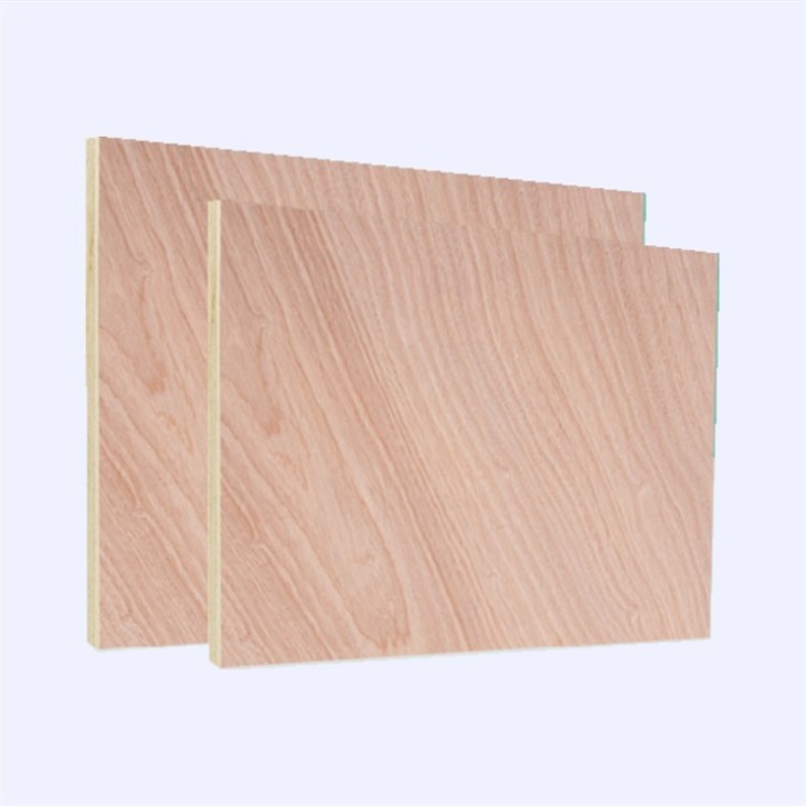 Furniture Plywoods Sheet 4x8 Plywood 2 Times Hot Press