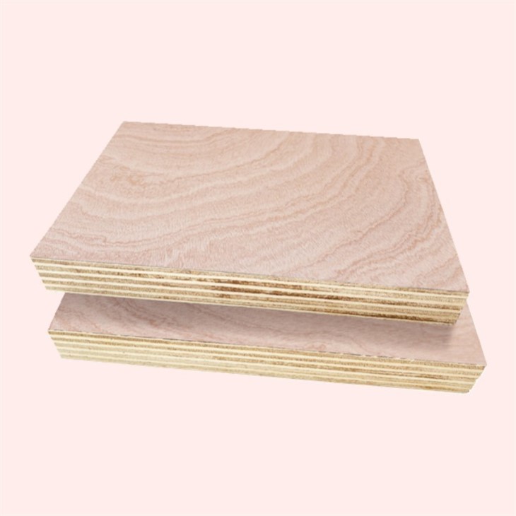 General Commercial Plywood Full Poplar Core Various Types Standard Size 4x8