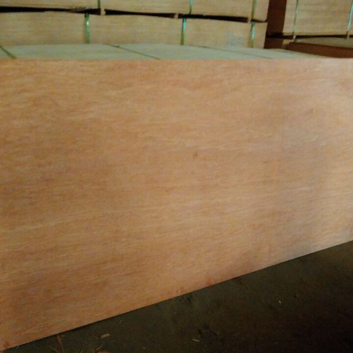Good Quality Film Faced Plywood For Construction