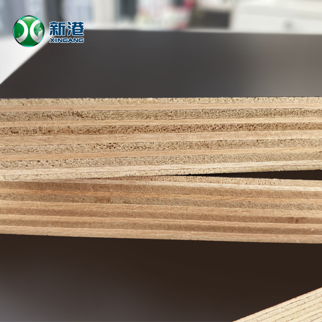 Marine Board/shuttering Board/film Faced Plywood Free Logo Can Be Customized 1220x2440x18mm