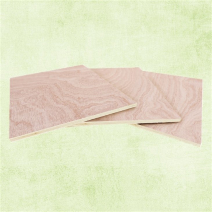 Natural Poplar Plywood Commercial Plywood For Furniture